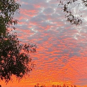 Meet your Posher, Elaine